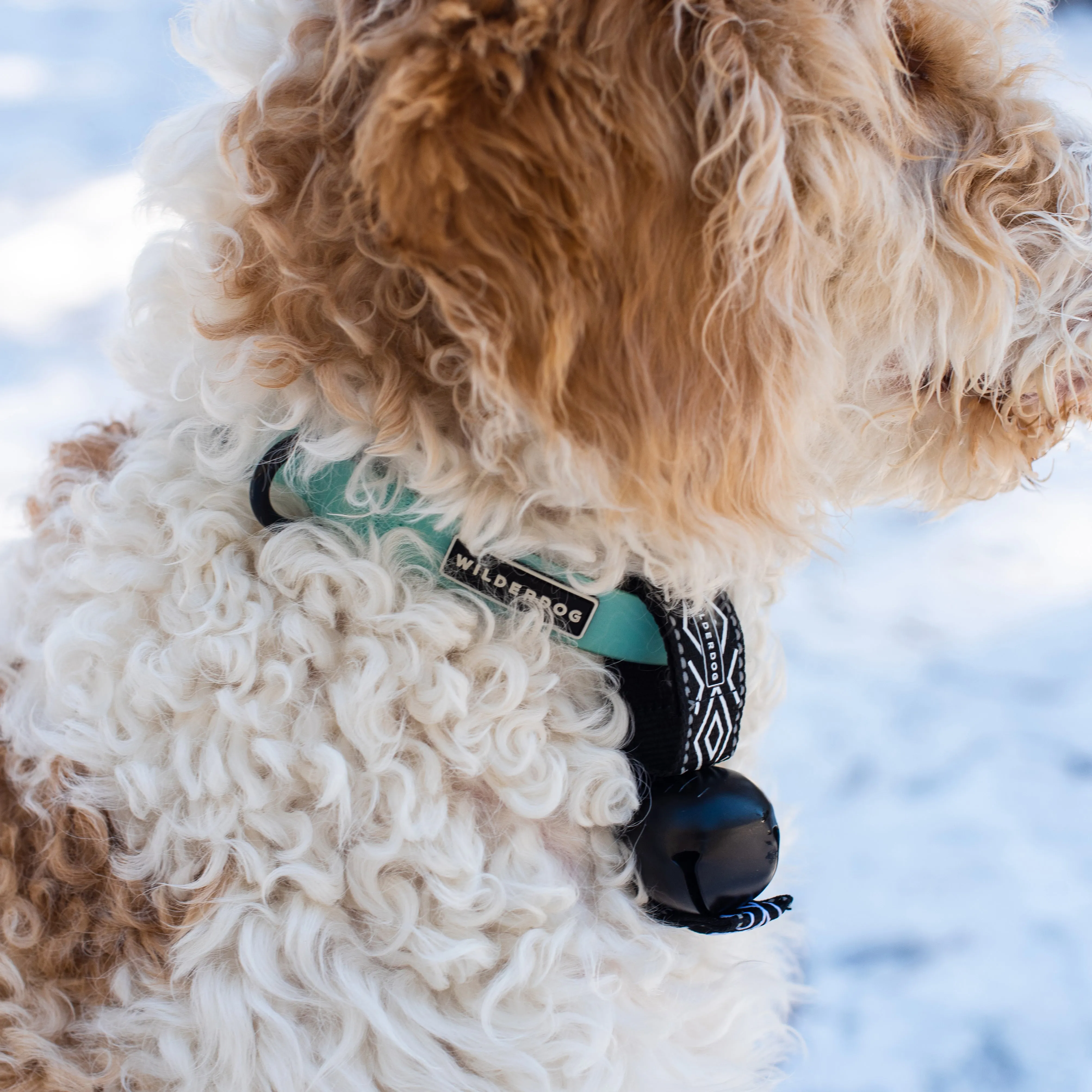 Backcountry Bell